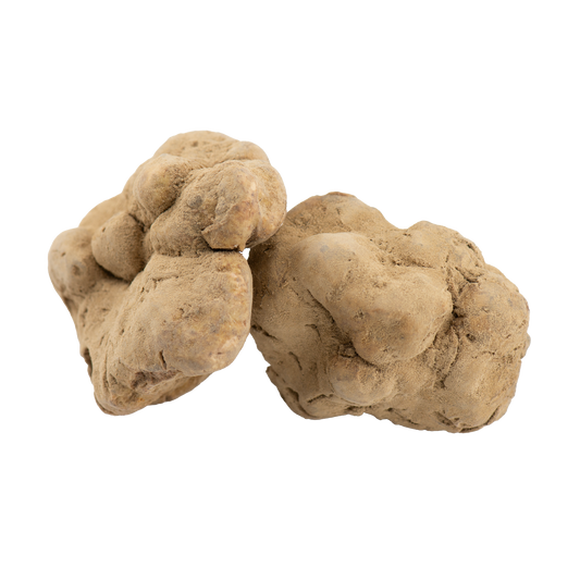 Tartufo Bianco Fresco - Tuber Magnatum Pico