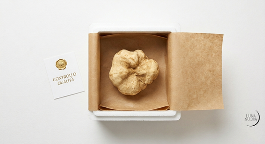 Come comprare tartufo online senza rischi: guida completa all'acquisto