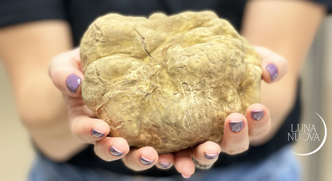Stagione_Tartufo_Bianco