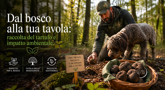 Raccolta del tartufo nei boschi della Romagna: logistica sostenibile e compensazione CO₂ con DKV Climate