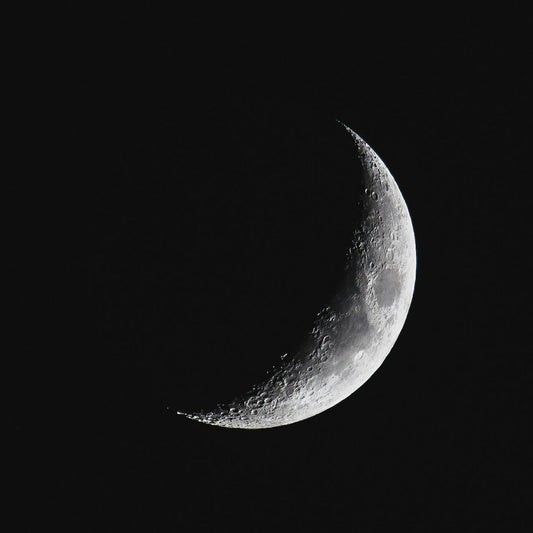 🌙✨ Luna e Tartufi: un Legame Antico tra Natura e Tradizione ✨🌙