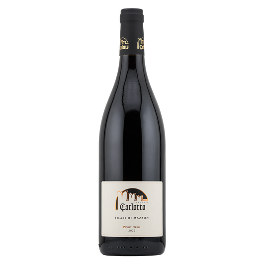 Pinot Nero 2022 "Carlotto"