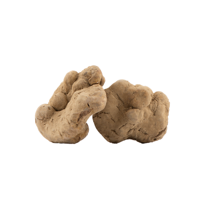 Tartufo Bianco Fresco - Tuber Magnatum Pico