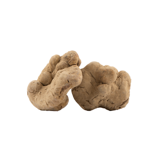 Tartufo Bianco Fresco - Tuber Magnatum Pico