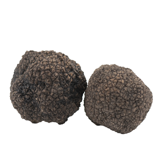 Tartufo Nero Uncinato Fresco Tuber uncinatum Chatin acquisto online – Luna Nuova Tartufi