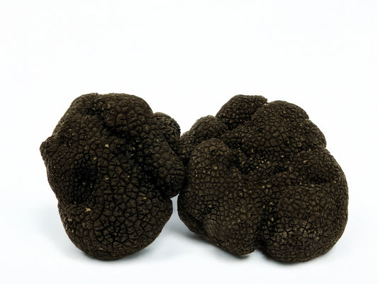 Tartufo Nero Invernale  – Selezione Premium