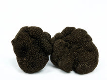 Truffe Noire d'Été Fraîche – Scorzone (Tuber aestivum Vittadini)