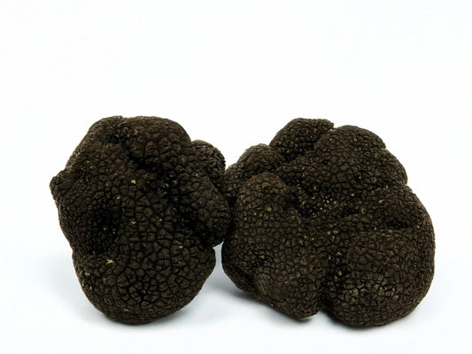 Tartufo Nero Estivo Fresco Scorzone Tuber aestivum Vittadini vendita online – Luna Nuova