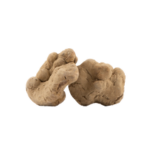 Truffe Blanche Précieuse Fraîche (Tuber magnatum Pico)