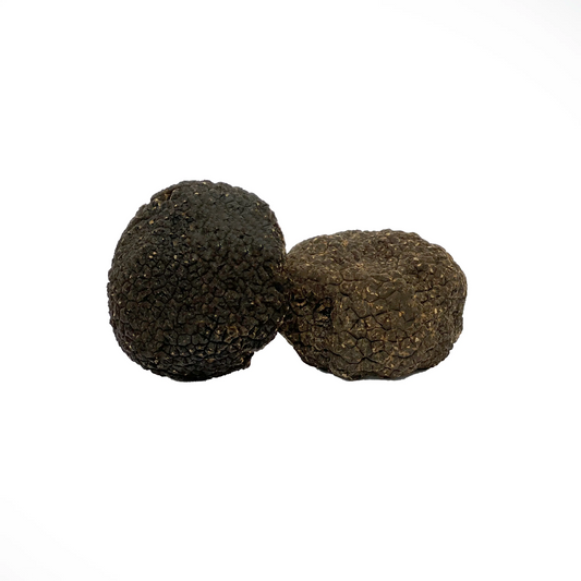Tartufo Nero Pregiato Fresco Tuber melanosporum acquisto vendita online – Luna Nuova Tartufi
